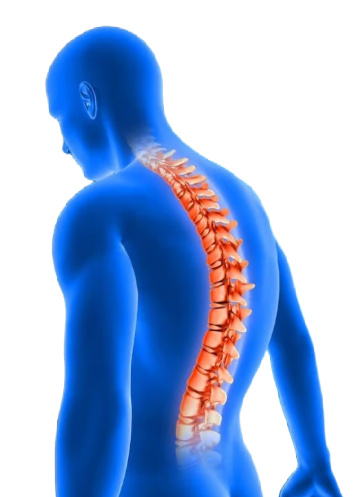 envato-labs-image-edit - 2025-12-10T131924421 - Radiant Chiropractic Canterbury